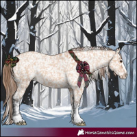 Horse Color:Bay Dun Snowflake Varnish 