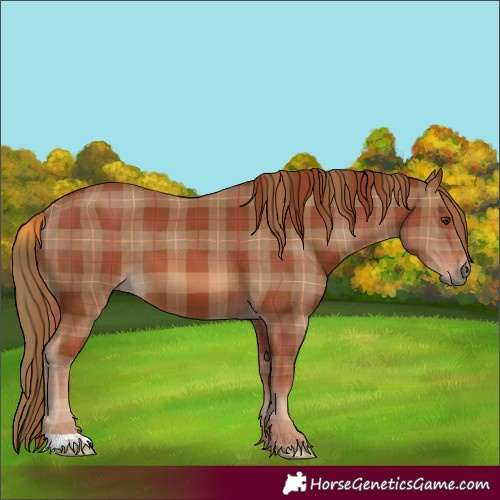 Horse Color:Plaid  Chestnut 