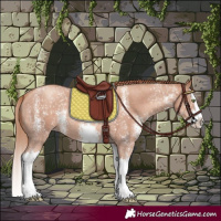 Horse Color:Gold Champagne Sabino Splash