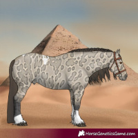 Horse Color:Buckskin Ice Dun Tobiano 