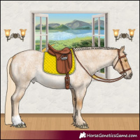 Horse Color:Palomino Roan 