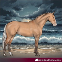 Horse Color:Silver Bay Dun Splash Rabicano 
