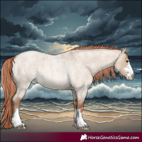 Horse Color:Red Dun Roan Rabicano