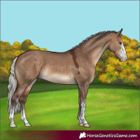 Horse Color:Silver Brown Dun Sabino 