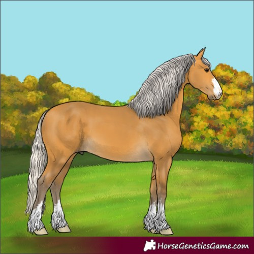 Horse Color:Silver Buckskin 