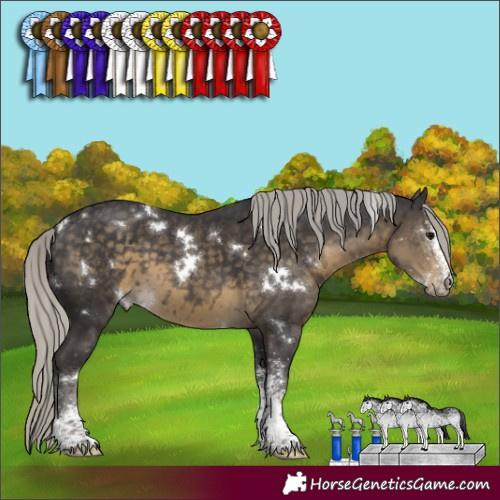 Horse Color:White Spotted Silver Smoky Black 