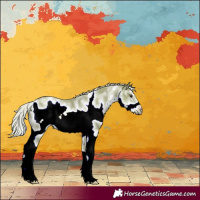 Horse Color:Watercolor Palomino Sabino Frame