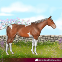Horse Color:Silver Bay Tobiano Varnish 