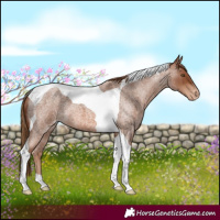 Horse Color:Red Roan Tobiano Varnish 