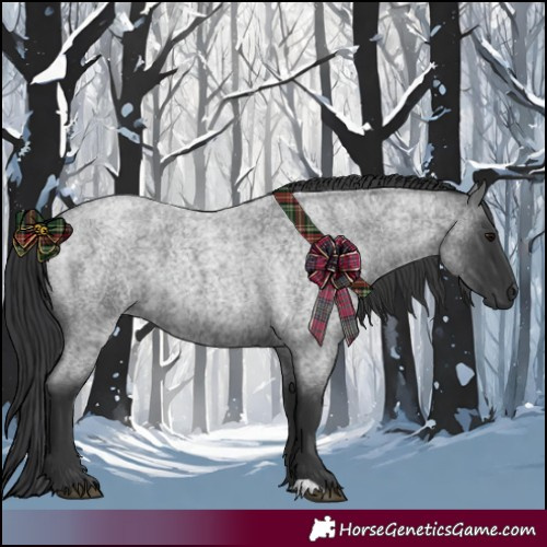 Horse Color:Blue Roan 