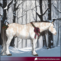 Horse Color:Bay Dun Sabino Splash 