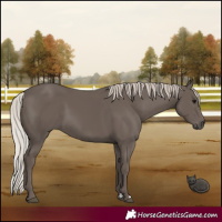 Horse Color:Silver Black 