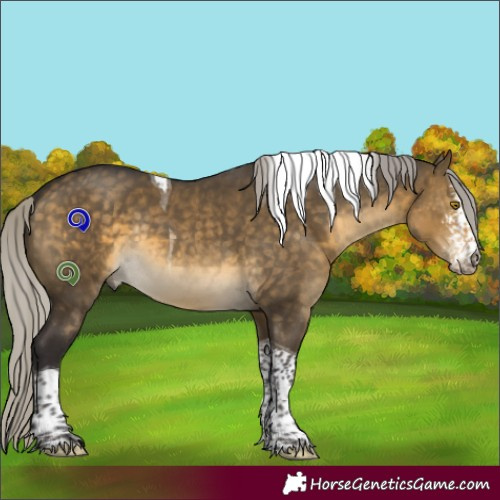 Horse Color:Silver Buckskin Dun Sabino Tobiano Rabicano 