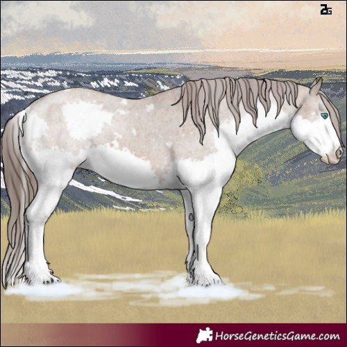 Horse Color:White Spotted Liver Red Dun Splash Appaloosa Brindle 