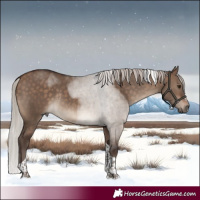 Horse Color:Silver Brown Dun Tobiano Rabicano 
