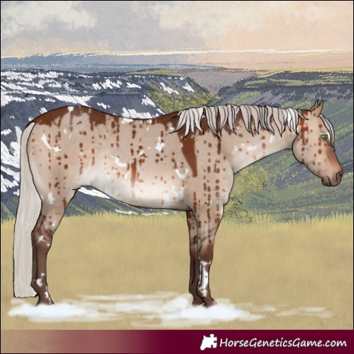 Horse Color:White Spotted Silver Brown Dun Rabicano Brindle 