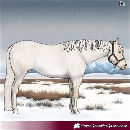 Horse Color:Cremello Roan Rabicano 
