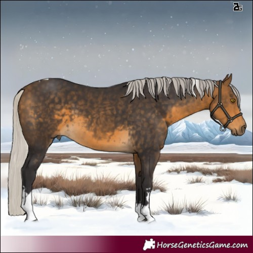 Horse Color:Silver Buckskin Tobiano 