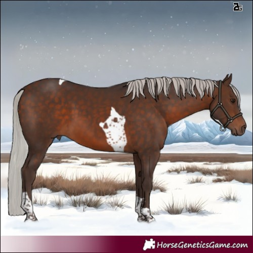Horse Color:Silver Brown Sabino Tobiano 