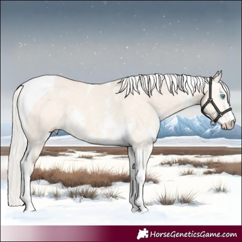 Horse Color:Silver Perlino Dun Sabino Tobiano 