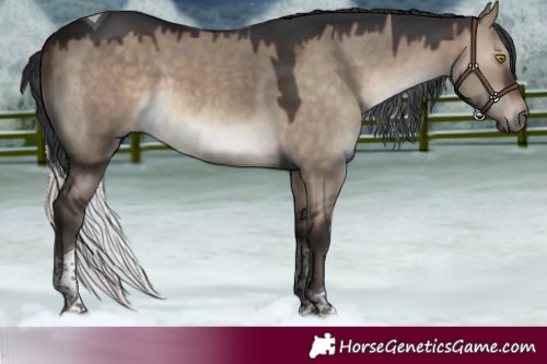 Horse Color:Brown Dun Sabino Tobiano 