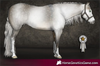Horse Color:Gray Silver Buckskin Dun Sabino 