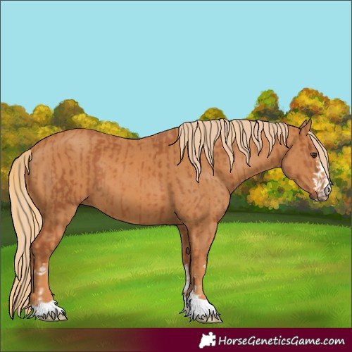 Horse Color:Chestnut  and Chestnut 