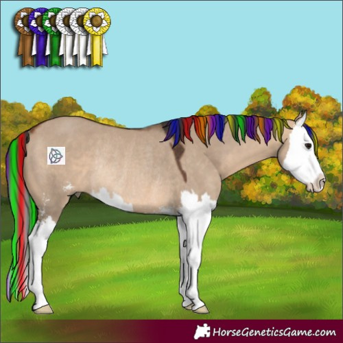 Horse Color:Painted Bay Dun Sabino Splash Rabicano 