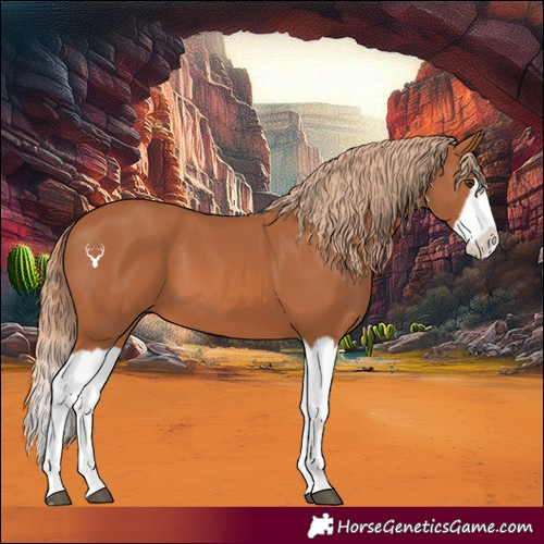 Horse Color:Chestnut Splash 