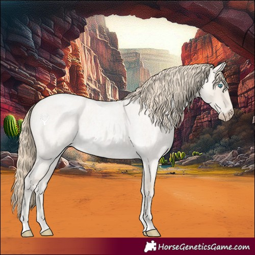 Horse Color:Smoky Creme Roan Dun 