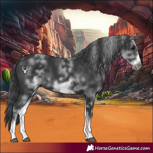 Horse Color:White Spotted Black Frame 