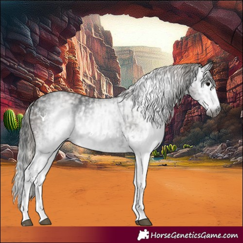 Horse Color:Gray White Spotted Black and Gray White Spotted Silver Black