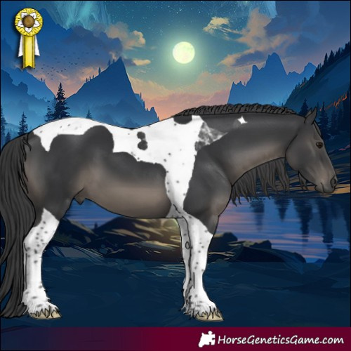 Horse Color:Black Tobiano 