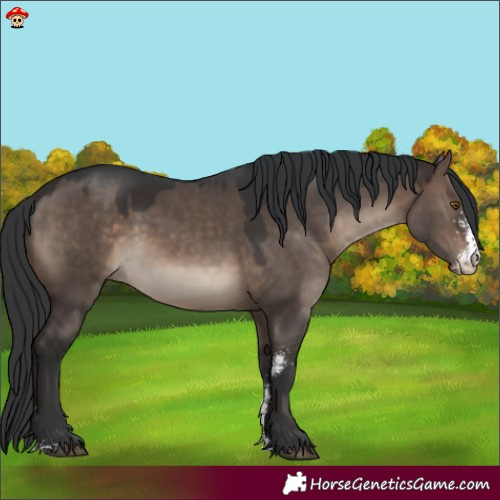 Horse Color:Brown Dun Mushroom Sabino 