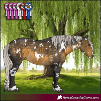 Horse Color:White Spotted Silver Buckskin 