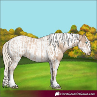 Horse Color:Chocolate Palomino Pearl Tobiano Frame and Chocolate Palomino Pearl Tobiano Frame