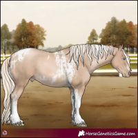 Horse Color:Chocolate Palomino Pearl Tobiano Frame  and Chocolate Palomino Pearl Tobiano Frame 