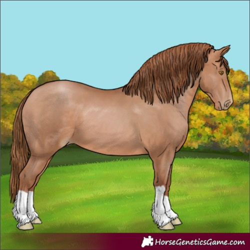 Horse Color:Brown Pearl 