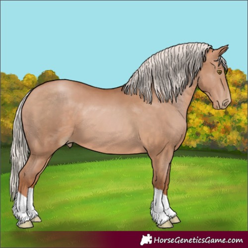 Horse Color:Silver Brown Pearl 