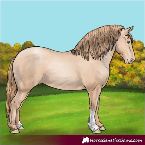 Horse Color:Gold Champagne Pearl 