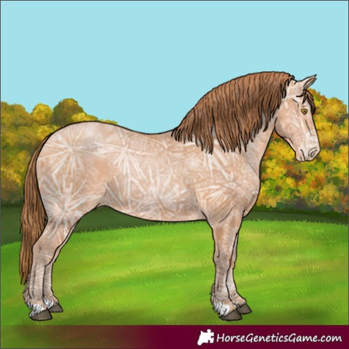 Horse Color:Bay Ice Pearl 