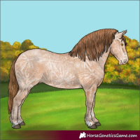 Horse Color:Bay Ice Pearl 