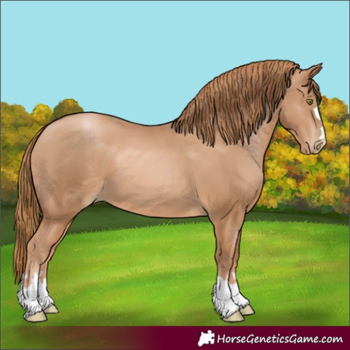 Horse Color:Chestnut Pearl 