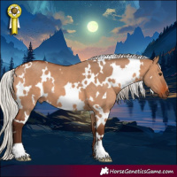 Horse Color:White Spotted Silver Brown Dun 