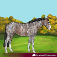 Horse Color:Brown Ice 