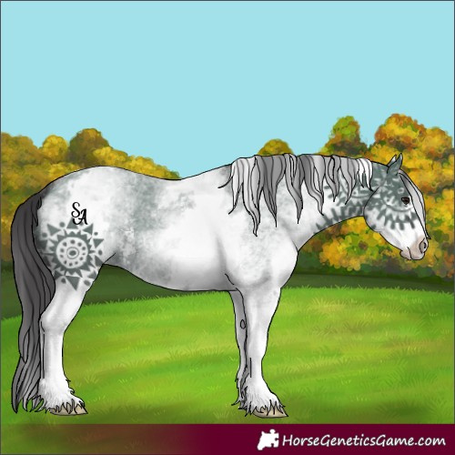 Horse Color:White Spotted Smoky Grullo Sabino 
