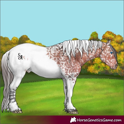 Pig Routing Horses 3g CdAc Chalk Line Pig | HuntAndJump.com