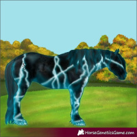 Horse Color:Void Thunderstruck White Spotted Smoky Black Sabino Splash Rabicano