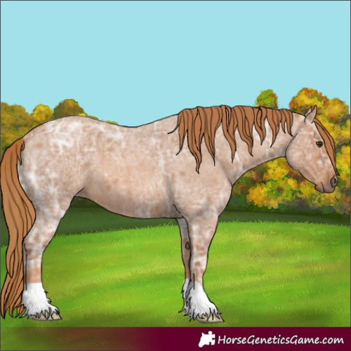 Horse Color:Red Ice Roan 