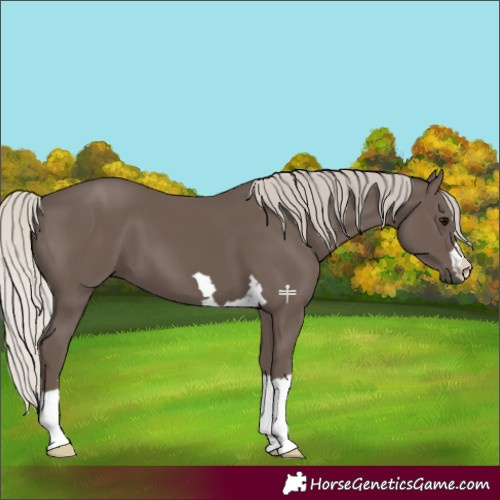 Horse Color:Silver Black 